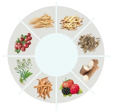 Natural ingredients including plant roots, berries, and extracts